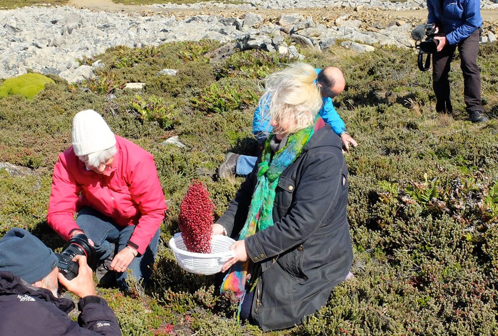 BBC’s Island Parish – Falkland Islands